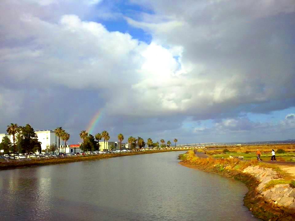 Caño Sancti Petri